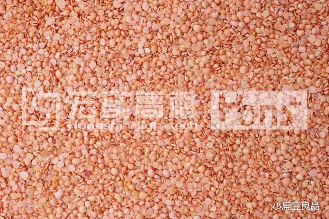Triple Chutes CCD Camera Sorting Machine / Beans Color Sorter Long Lifetime