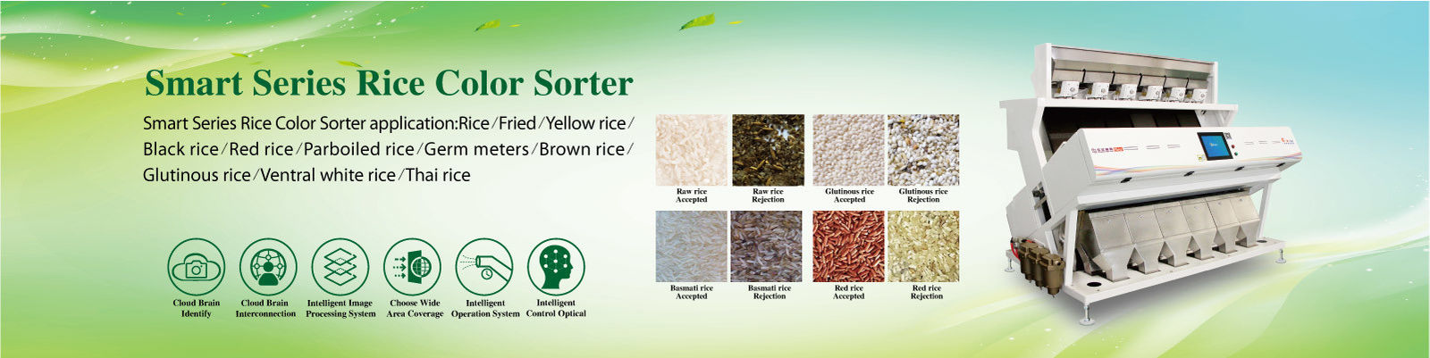 Rice Color Sorter