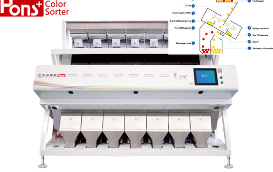 RGB Camera Bean Rice Sorter Machine 3.5t/H Multiple Function