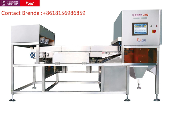 Hons Belt type CCD Color Sorter High Efficiency Glass Ore Plastic Separation Machine Processing Equipment Low Price