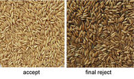 Hons Brand Smart Series Wheat Rice Color Sorter Wheat Sorting Machine