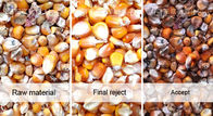 High Efficiency Sweet Corn Optical Color Sorter Corn Germ Separation Recycling