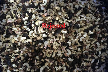 5 chute Economic Type Vietnam Cashew Color Sorter Nuts Sorting Machine