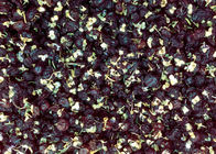 Twelve Chutes black Wolfberry Color Sorter Food grading system