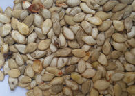 Hons Brand Popular Pumpkin Seeds Color Sorter Nuts Seeds Sorting Machine