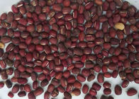 Single Chute Red Bean Separater Color Sorter beans sorting Processing Machine