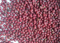 Single Chute Red Bean Separater Color Sorter beans sorting Processing Machine