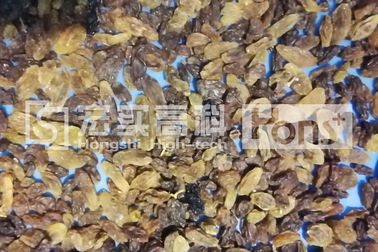 756 Channels Rasins Color Sorter Dried Food Grading Plant Machine