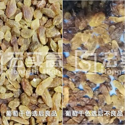 756 Channels Rasins Color Sorter Dried Food Grading Plant Machine