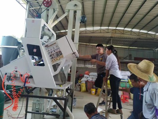 High Sensitivity 126 Channels Food Grade Optical CCD Color Sorter