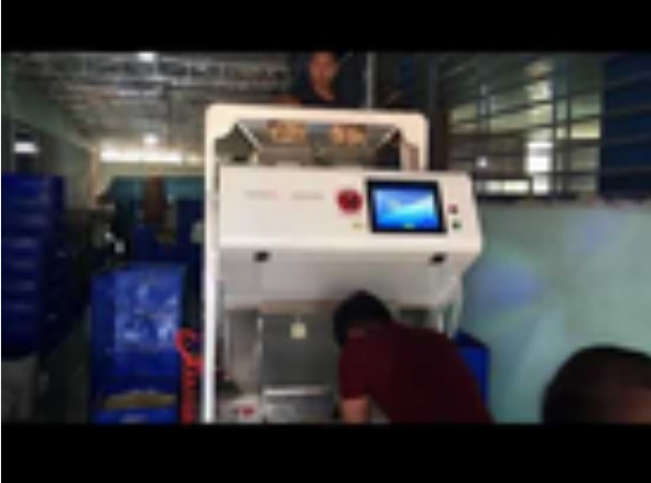 CCD Camera Cashew Nut Color Sorting Machine Easy Operation