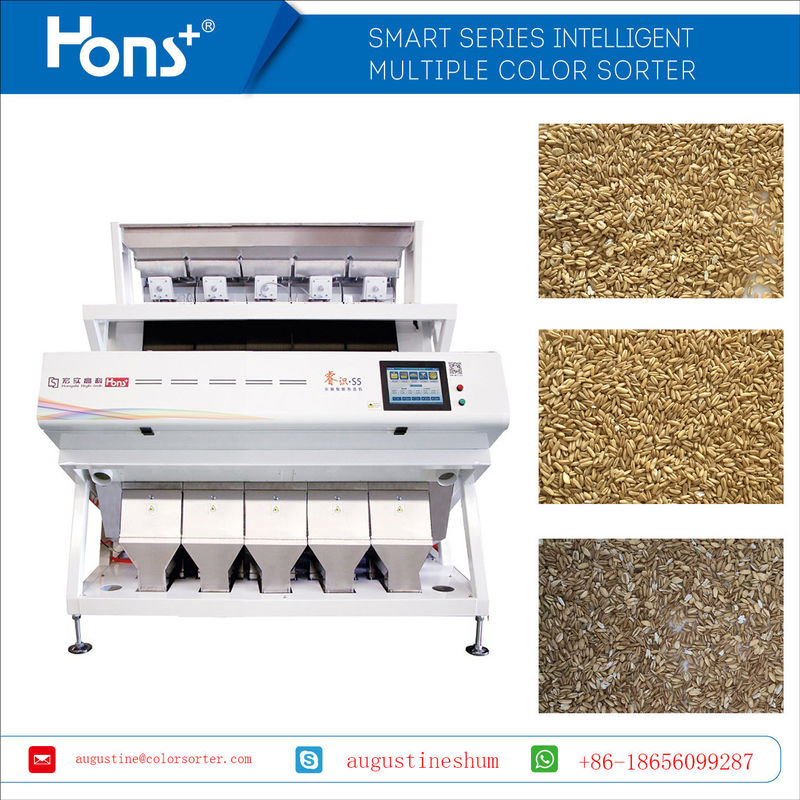 High-Tech PLC Oats/Oatmeal/Hot Cereals Color Sorter Avena Sativa Sorting Machine