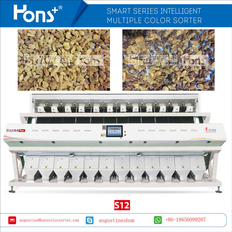 756 Channels Rasins Color Sorter Dried Food Grading Plant Machine